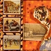 Tigers thumbnail